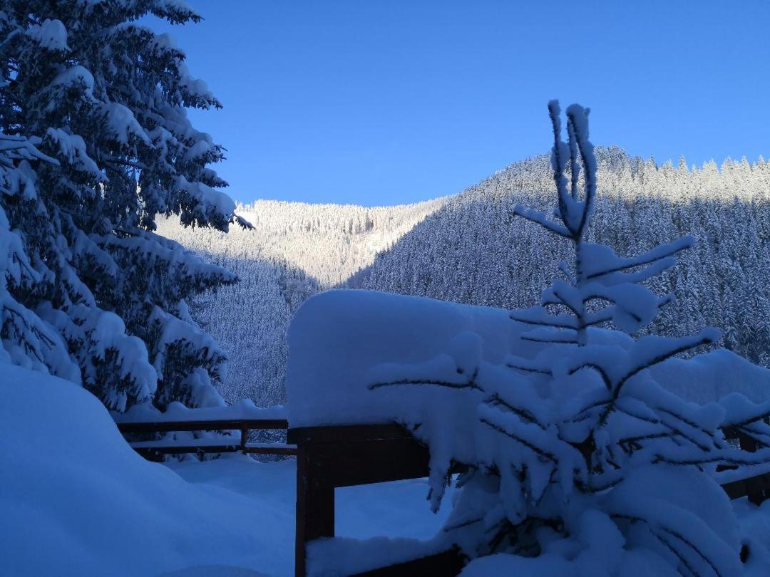 Cabana "Trei Brazi " Retezat Râu de Mori Exterior photo